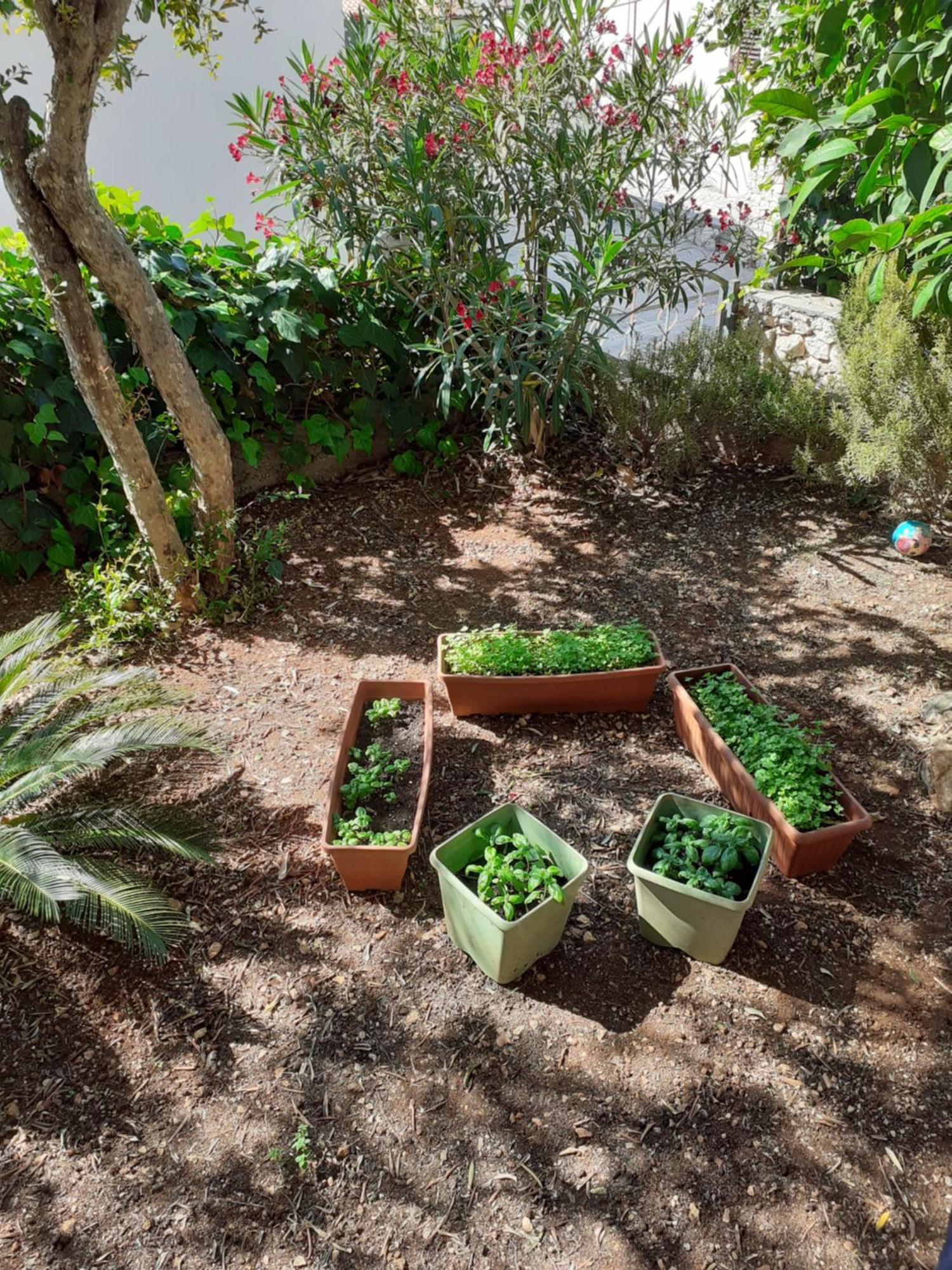 Apartman Gordana Trogir Bagian luar foto